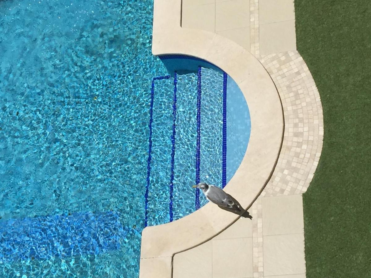 3 Min Walking To Peneco Beach Albufeira At Sol A Sul Apartments Exterior foto